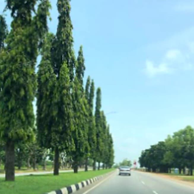 الطريق نفسه في أبوجا بعد اثني عشر عامًا من الغرس، وقد صارت الأشجار عالية وكثيفة